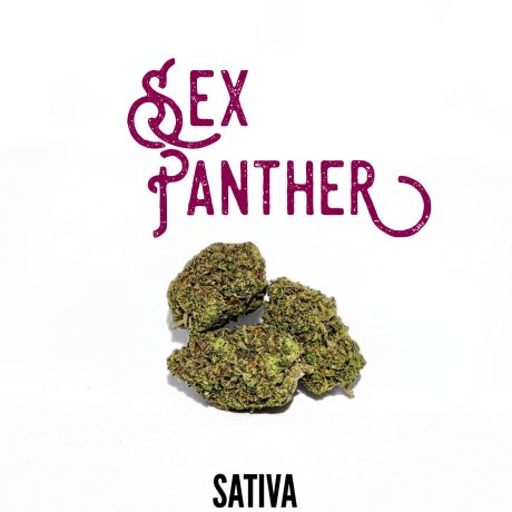 Hemp Derived THCa Flower - Sex Panther